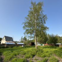 Участок 8 сот. (СНТ, ДНП), Вербилки