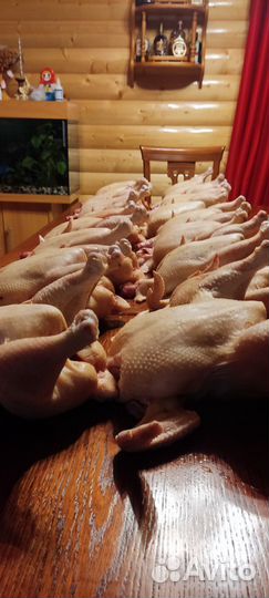 Мясо бройлера, тушенка, инкуб.,яйцо, цыплята