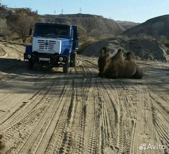 Почвогрунт доставка