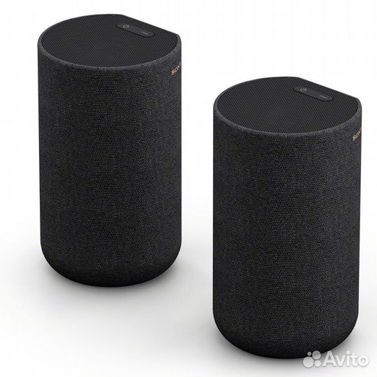 Sony SA-RS5