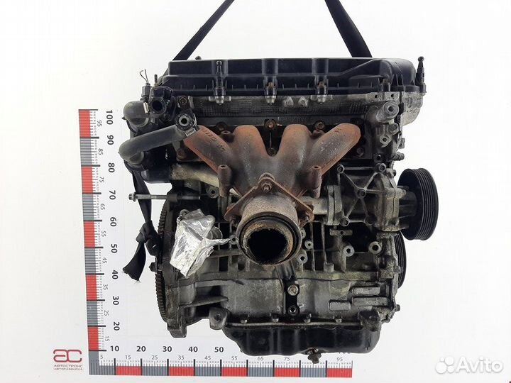 Натяжитель ремня генератора Chrysler Sebring 3 (JS