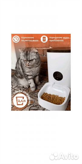 Автоматическая кормушка для кошек и собак