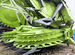 Жатка Claas Orbis 600 SD, 2012, Казань