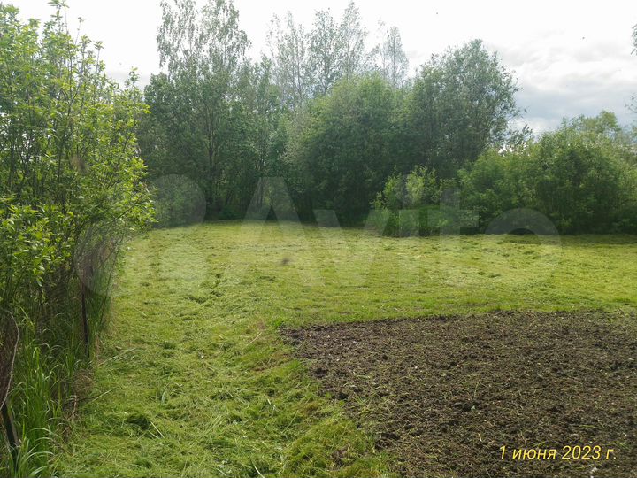 Участок 4,5 сот. (СНТ, ДНП)