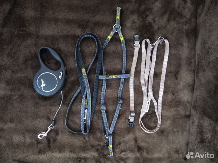 Ошейник, шлейка, рулетка поводок для кошек и собак