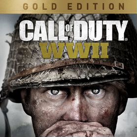 Call of Duty: WW2 Gold Edition русский язык