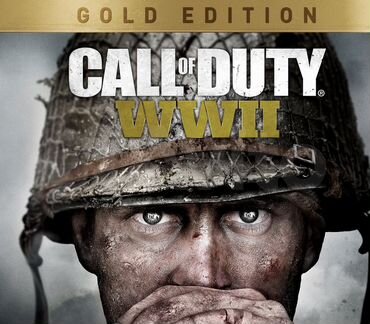 Call of Duty: WW2 Gold Edition русский язык