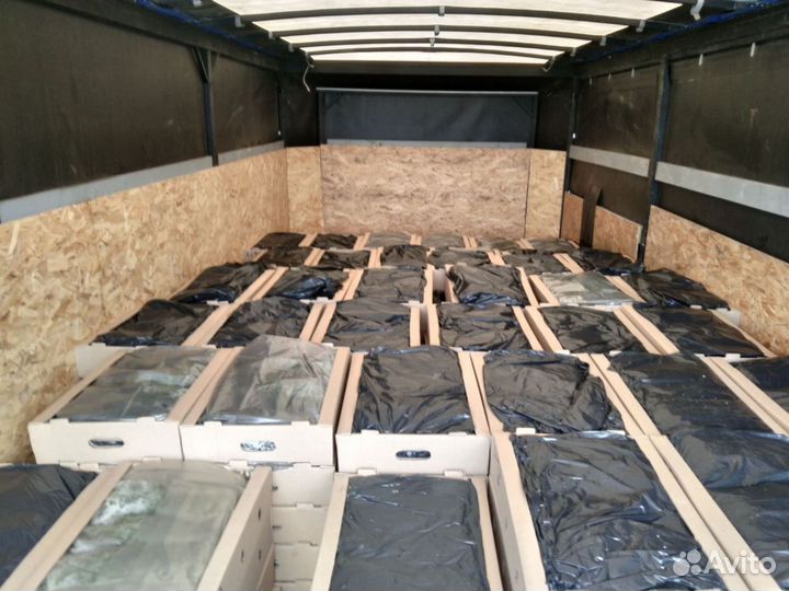 Саженцы ели окс от производителя