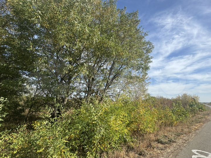 Участок 2,2 га (СНТ, ДНП)