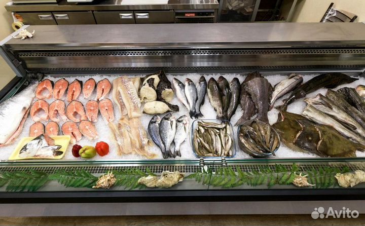Прибыльный рыбный магазин – готовый бизнес