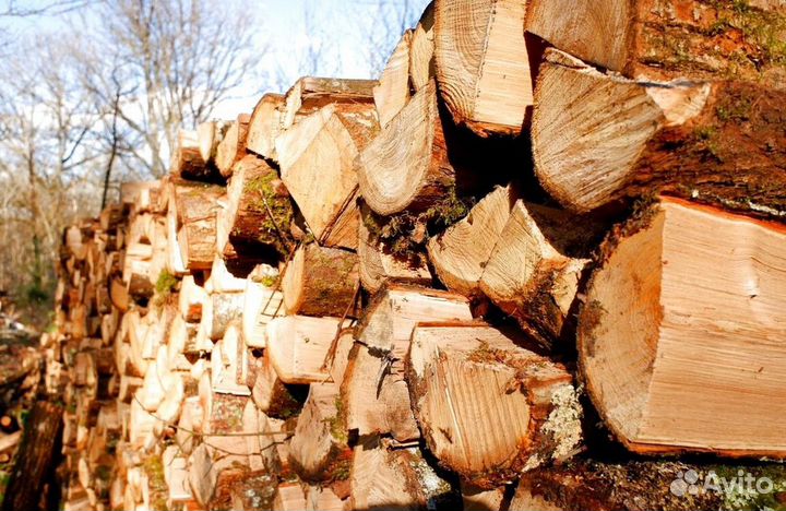 Дрова ольха