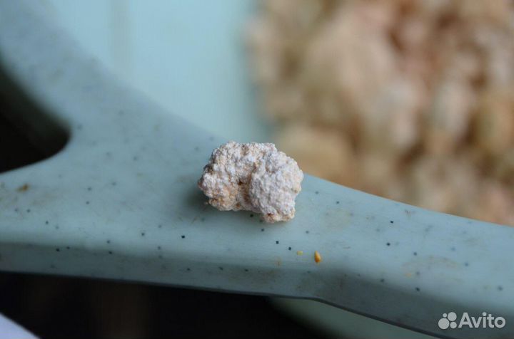 Каменное масло