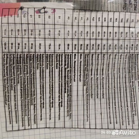 Одежда для собак