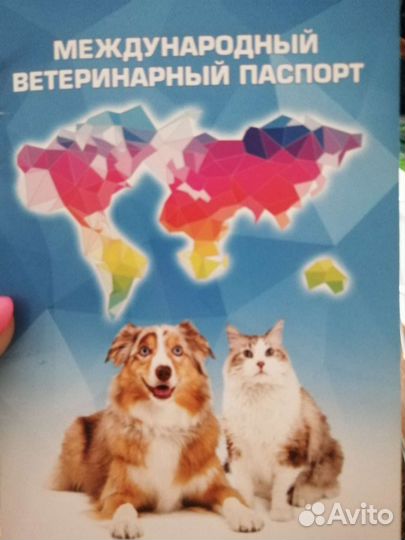 Немецкая овчарка