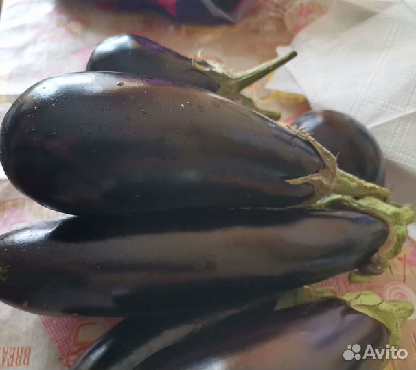 Продам овощи (баклажаны,кабачки)