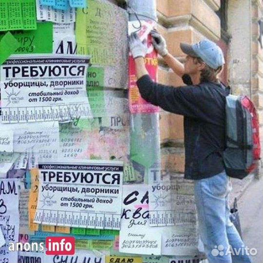 Промоутер расклейщик