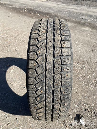 Cordiant Polar 2 195/65 R15 91T