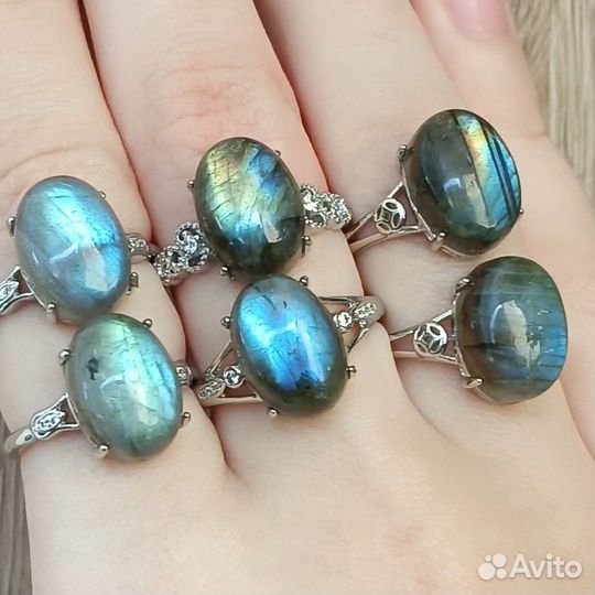 Кольца с лабрадором