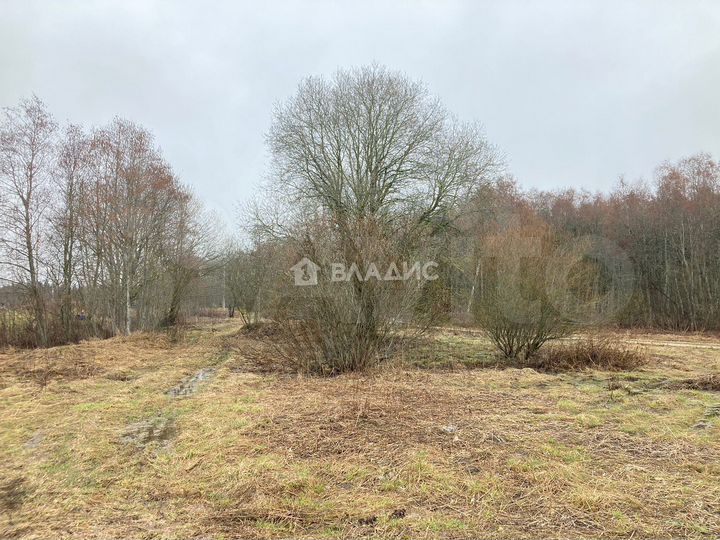 Участок 18,6 сот. (ИЖС)