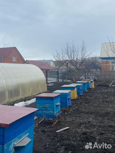 Медогонка и улья