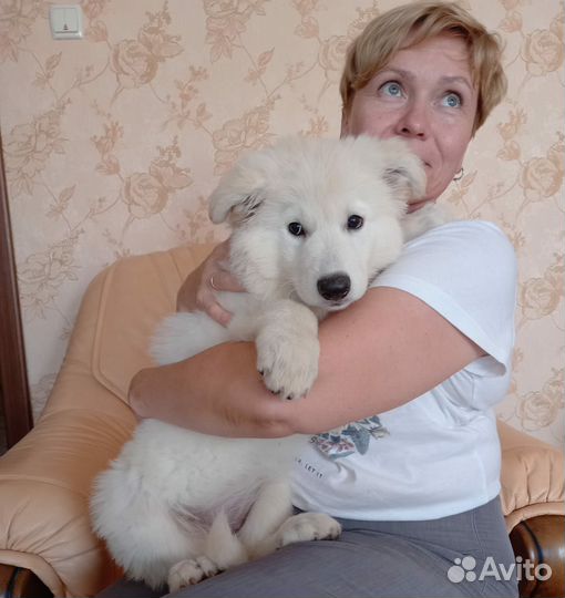 Малыши бшо
