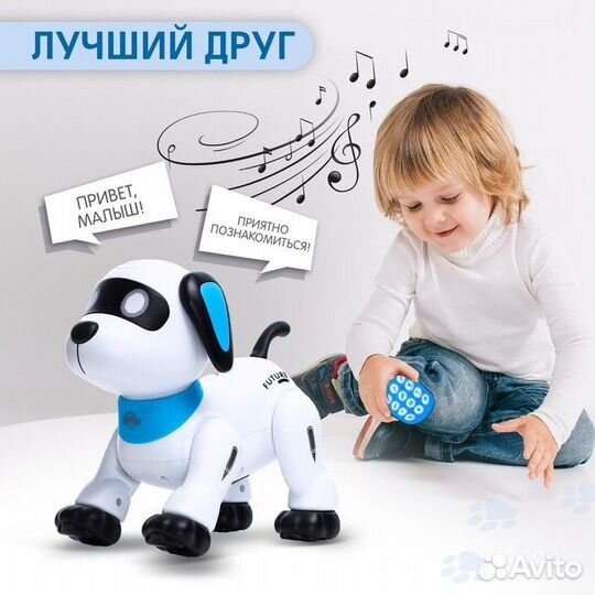 Робот собака 'Лакки' IQ BOT, на пульте управления