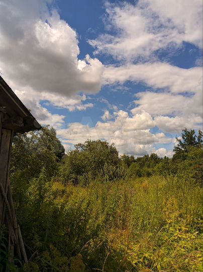 Участок 50 сот. (ИЖС)