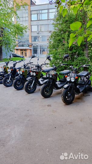 Honda zoomer японский внедорожный скутер