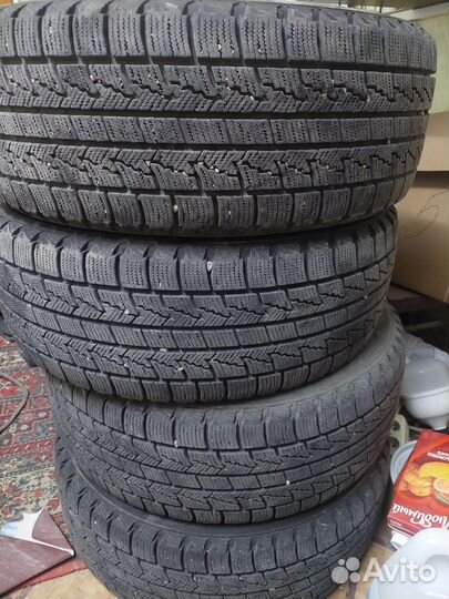 Nexen Winguard Ice 205/55 R16