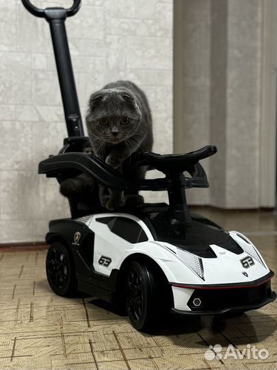 Детская машинка каталка