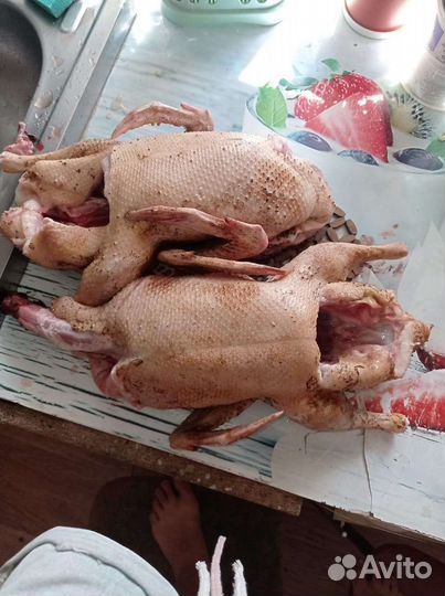Продукты питания