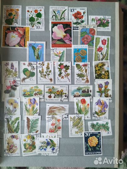 Альбом для марок