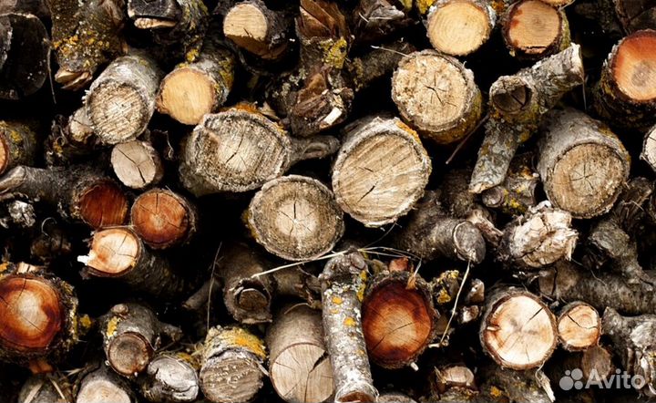 Дрова из сушки