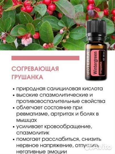 Bogo Box doterra Бого бокс дотерра бого пары