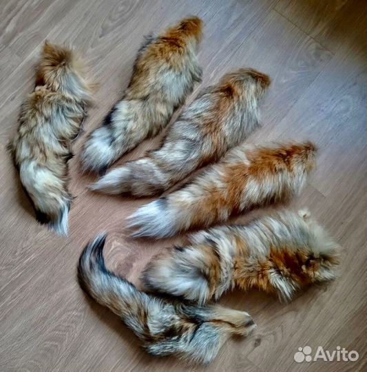 Лисий хвост