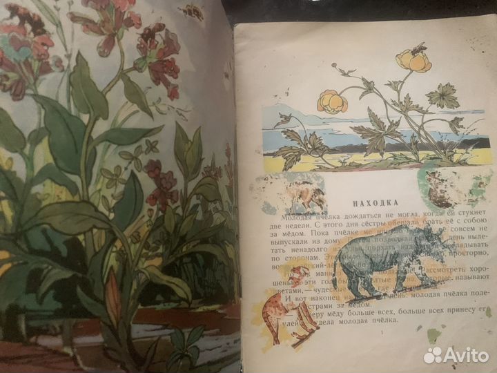 Книга Павлова, Нина Желтый, белый, лиловый/Валерий