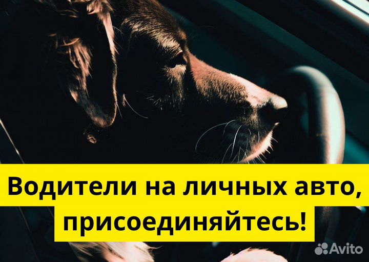 Ищем водителей на своих авто в Яндекс.Go