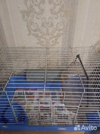 Клетка