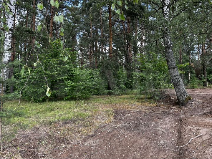 Участок 7 сот. (ИЖС)