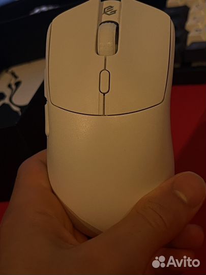 G wolves hati s plus 4k