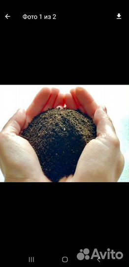 Биогумус, вермикомпост