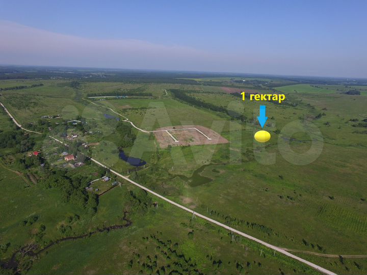 Участок 100 сот. (ИЖС)