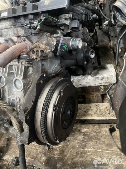 Двигатель Volkswagen Golf 4 BCA 1.4