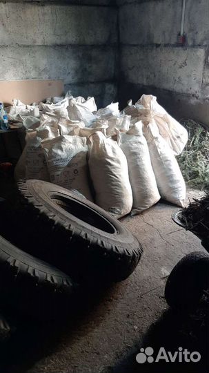 Корм и удобрение из пропаренных пихтовых веток