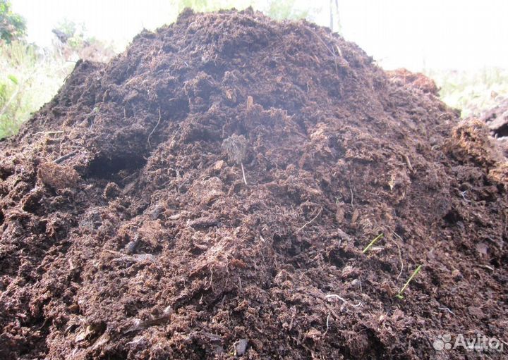 Перегной коровий