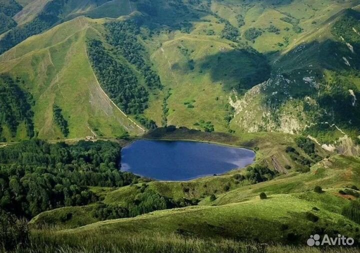 Тур в Чечню и Дагестан (все включено)