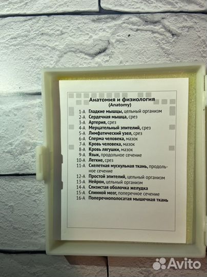 Препараты для микроскопа