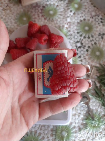 Малина Пшехиба саженцы