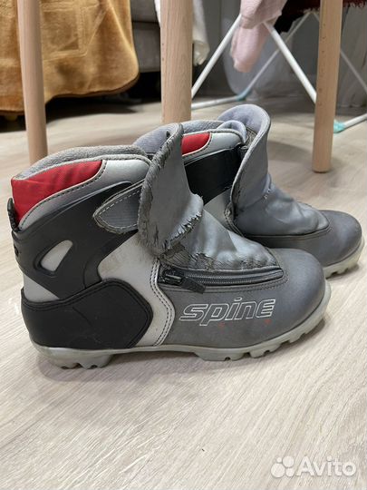 Ботинки для беговых лыж spine rider 38