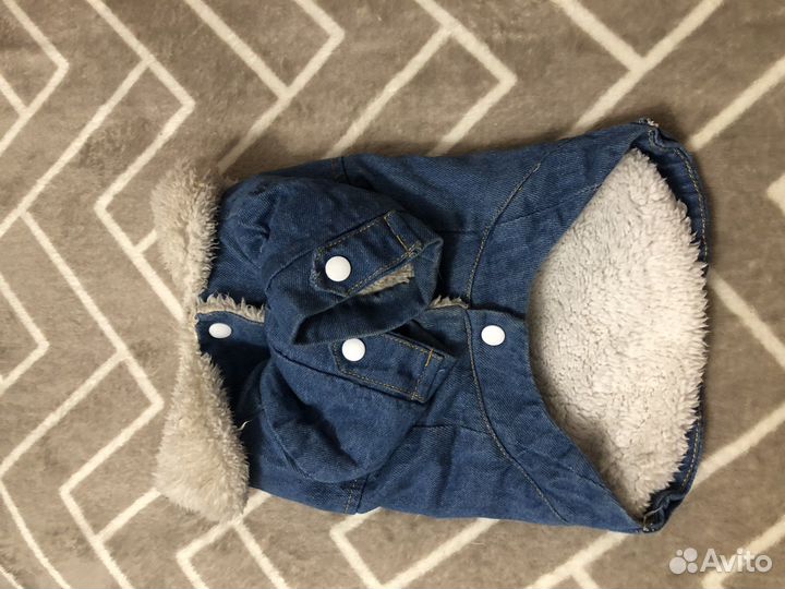 Одежда для маленьких собак